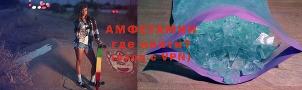 прущие грибы Переславль-Залесский
