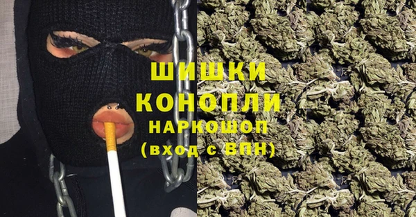прущие грибы Переславль-Залесский